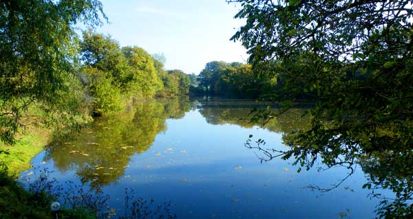 L’étang 4
