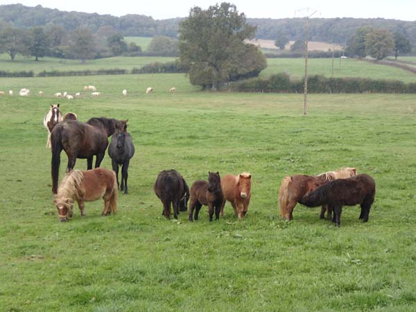 Les prés